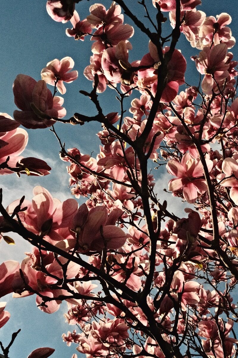 Protection of Musical Works