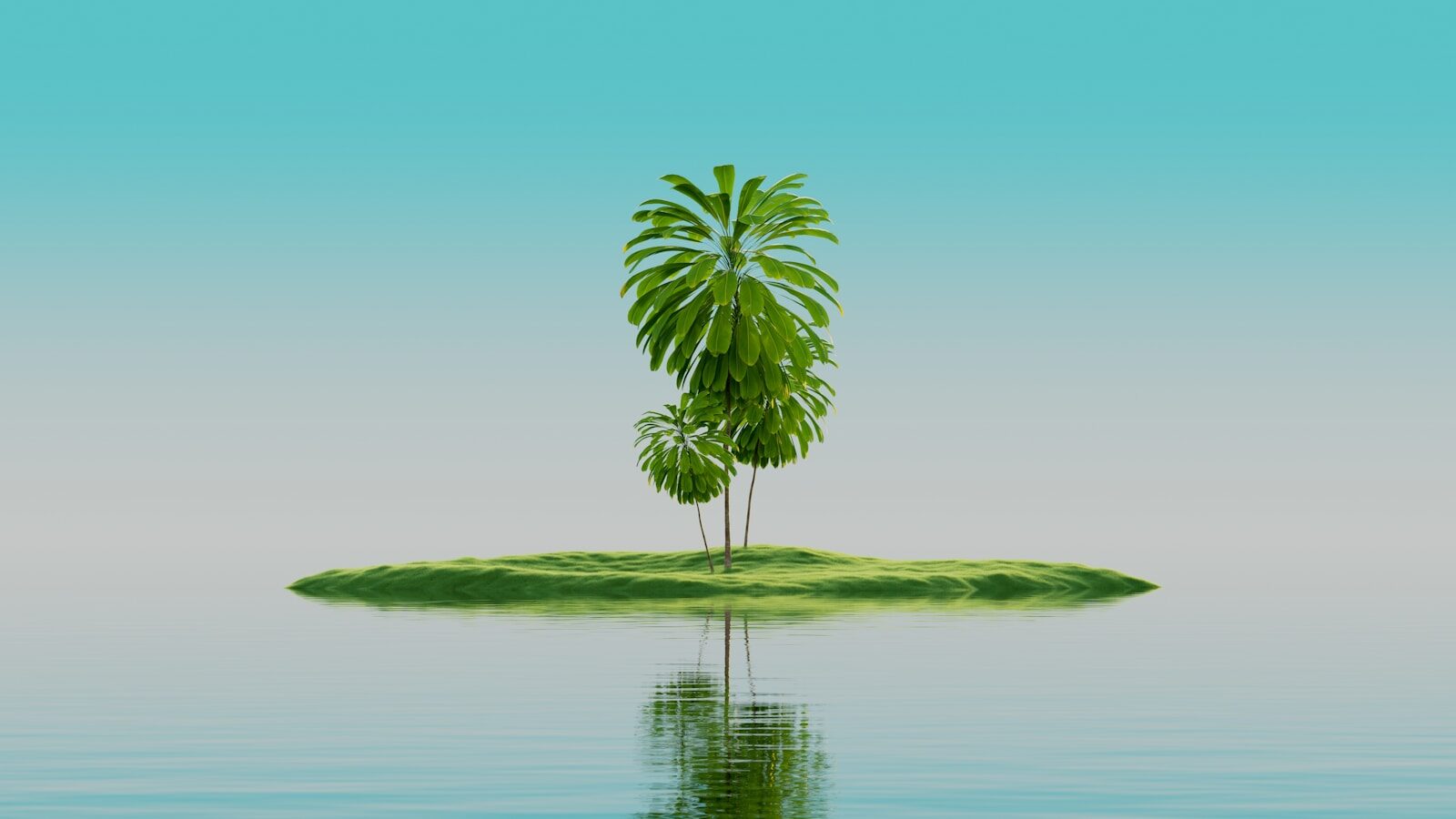 Radio Station Transfers